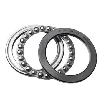 231,775 mm x 295,275 mm x 31,75 mm  NSK 544091/544116 cylindrical roller bearings